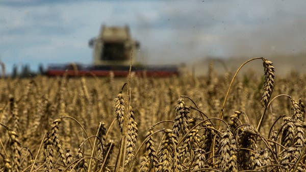 روسيا و أوكرانيا
        
                                انخفاض محصول الحبوب فِيْ أوكرانيا 40% هذا العام